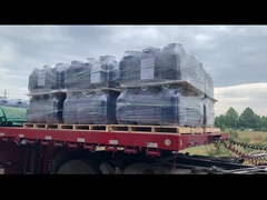 분자 시트 포장